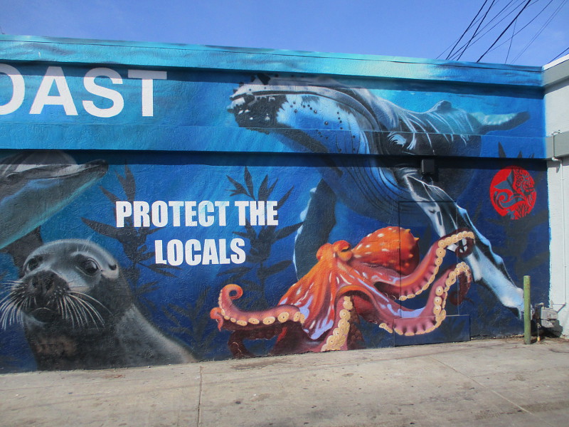 Protect the Locals mural in Pacific Beach. – Cool San Diego Sights!