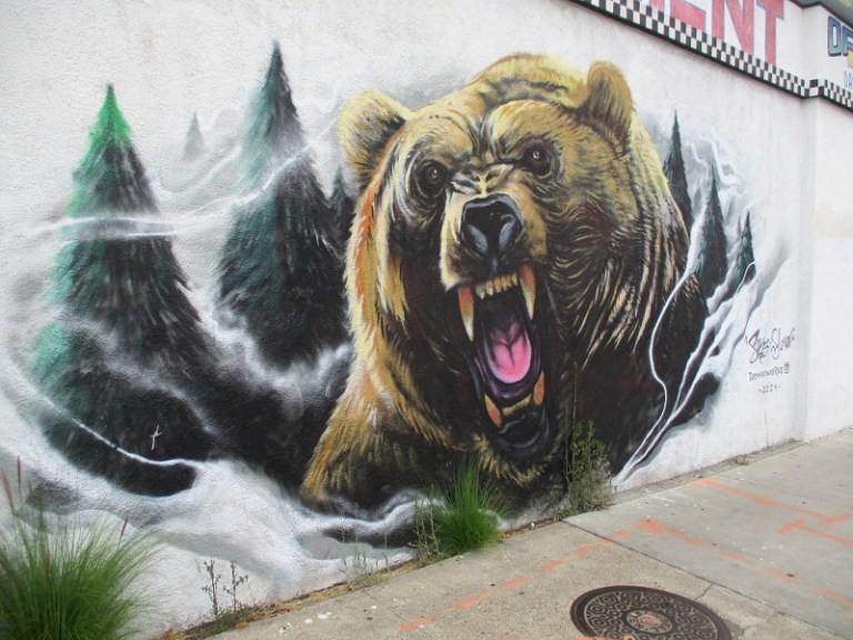 Raging bear on a City Heights tire shop! – Cool San Diego Sights!